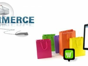 Using Ecommerce Web Development Start A Web Based Store